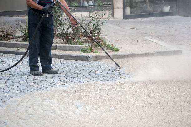 Best Animal Enclosure Cleaning  in Bessemer, MI